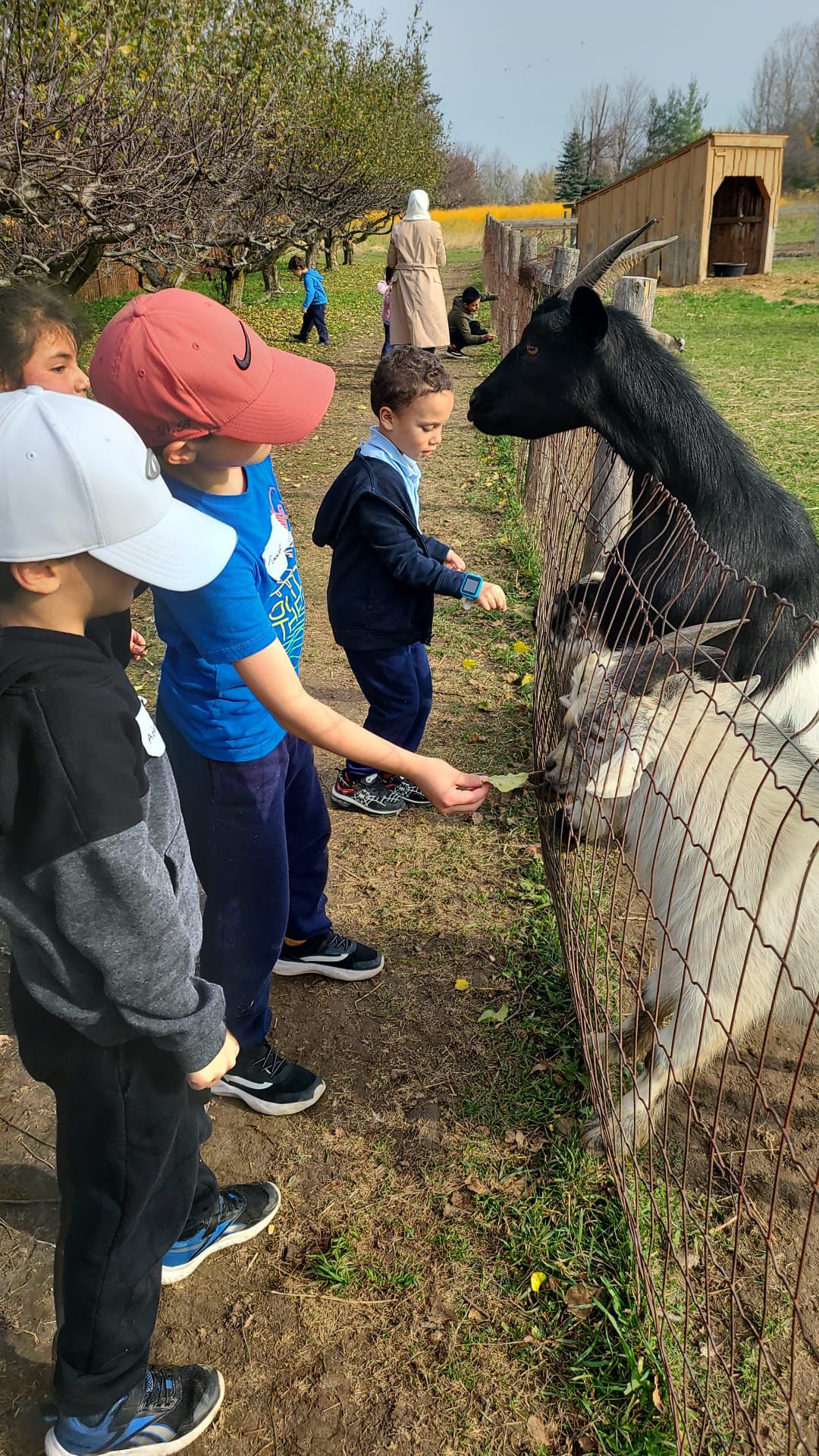 Jana Academy Activities 12